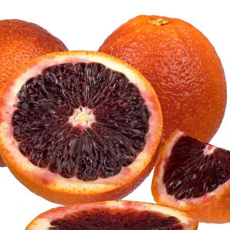 Апельсин Моро - Citrus sinensis cv. Moro