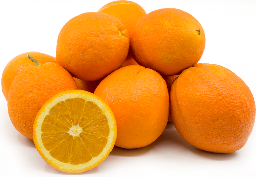 Апельсин Ньюхолл - Citrus sinensis Newhall 