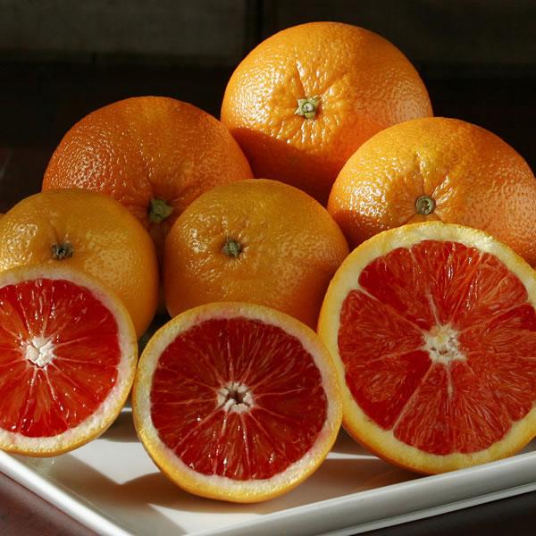 Апельсин Кара-Кара - C. sinensis Cara Cara navel