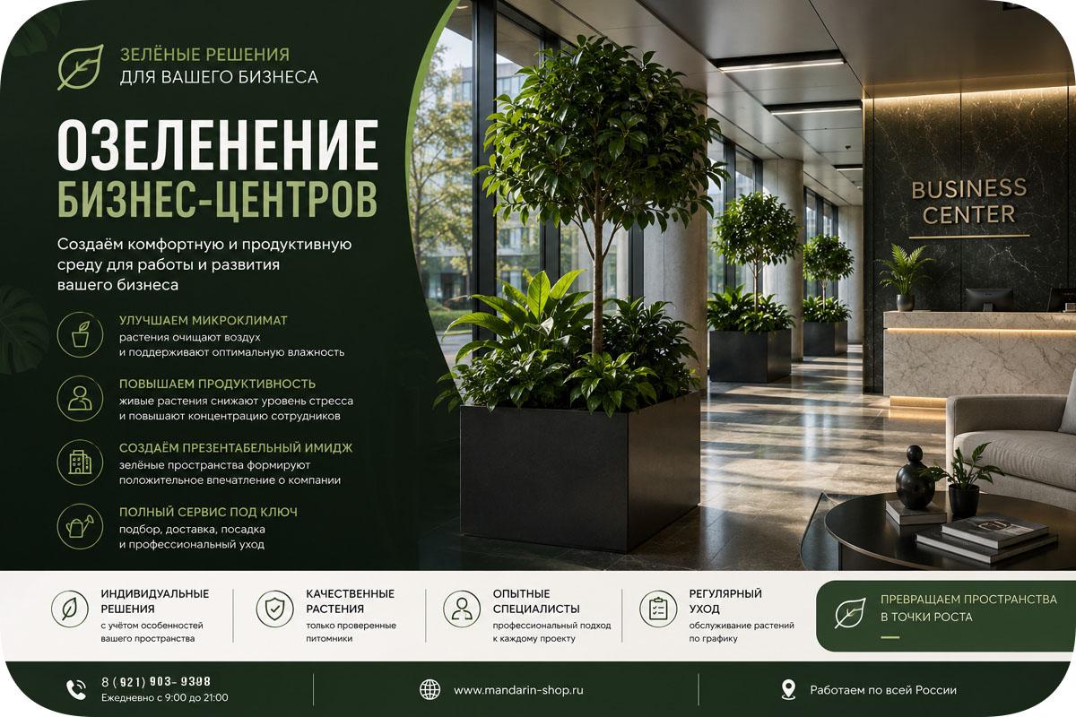 ОЗЕЛЕНЕНИЕ БИЗНЕС ЦЕНТРОВ ПОД КЛЮЧ