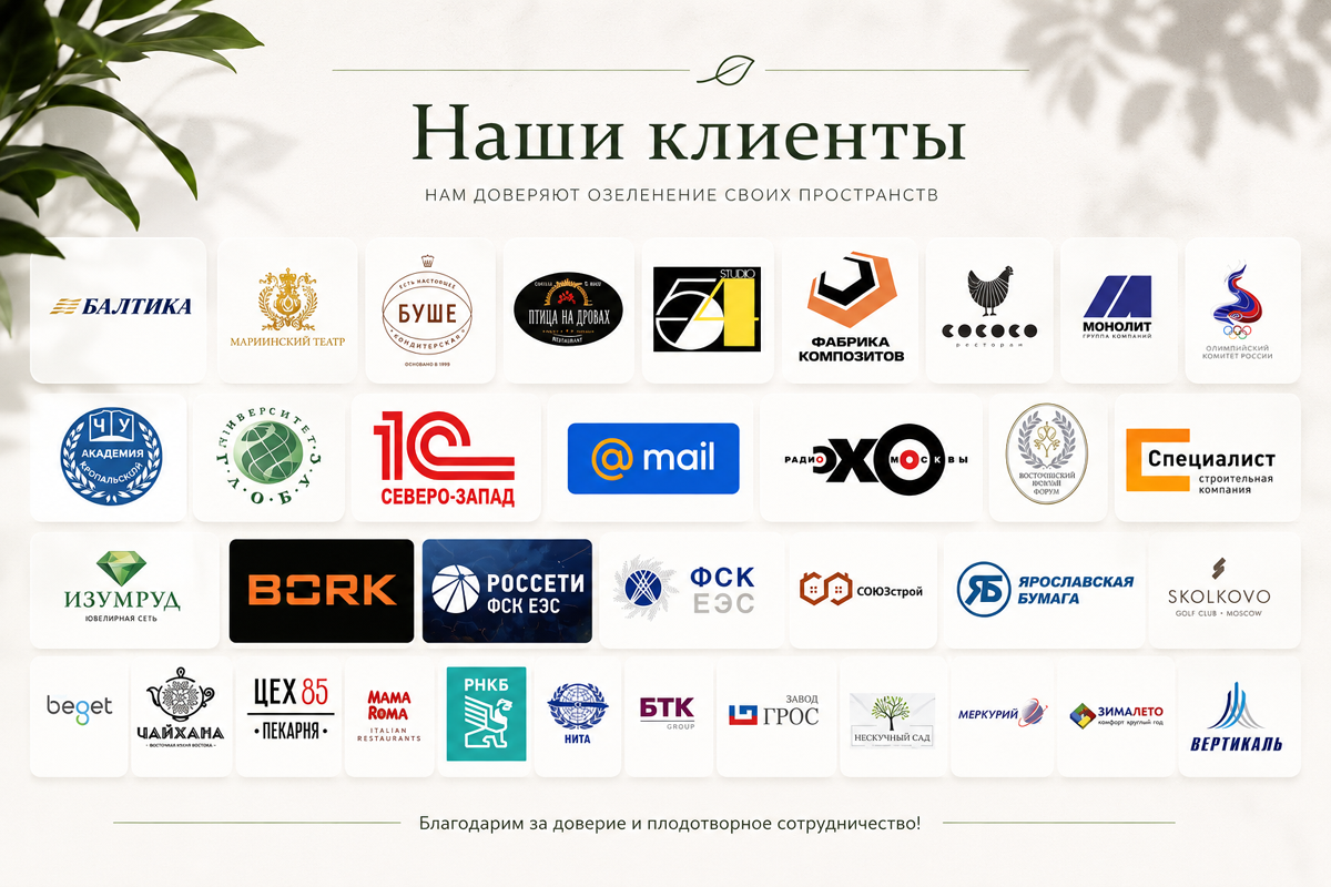 Наши клиенты