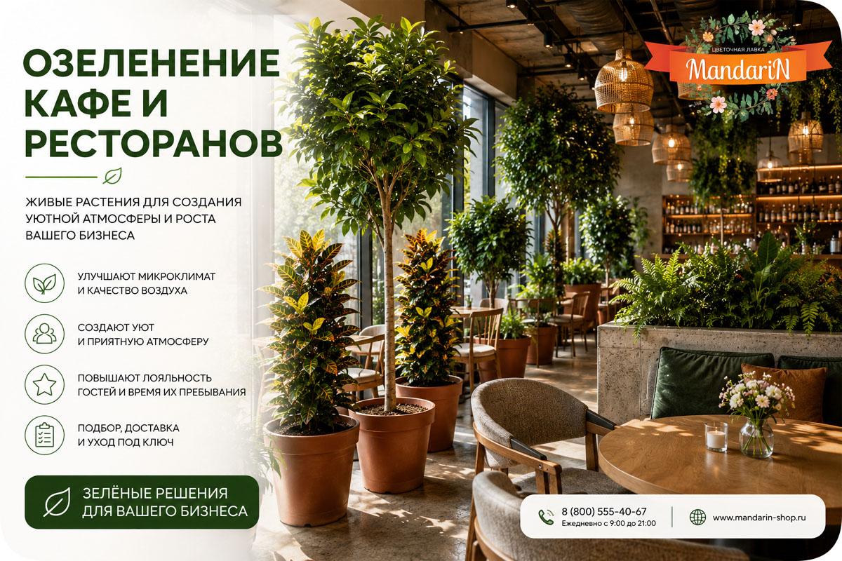 ОЗЕЛЕНЕНИЕ КАФЕ И РЕСТОРАНОВ ПОД КЛЮЧ