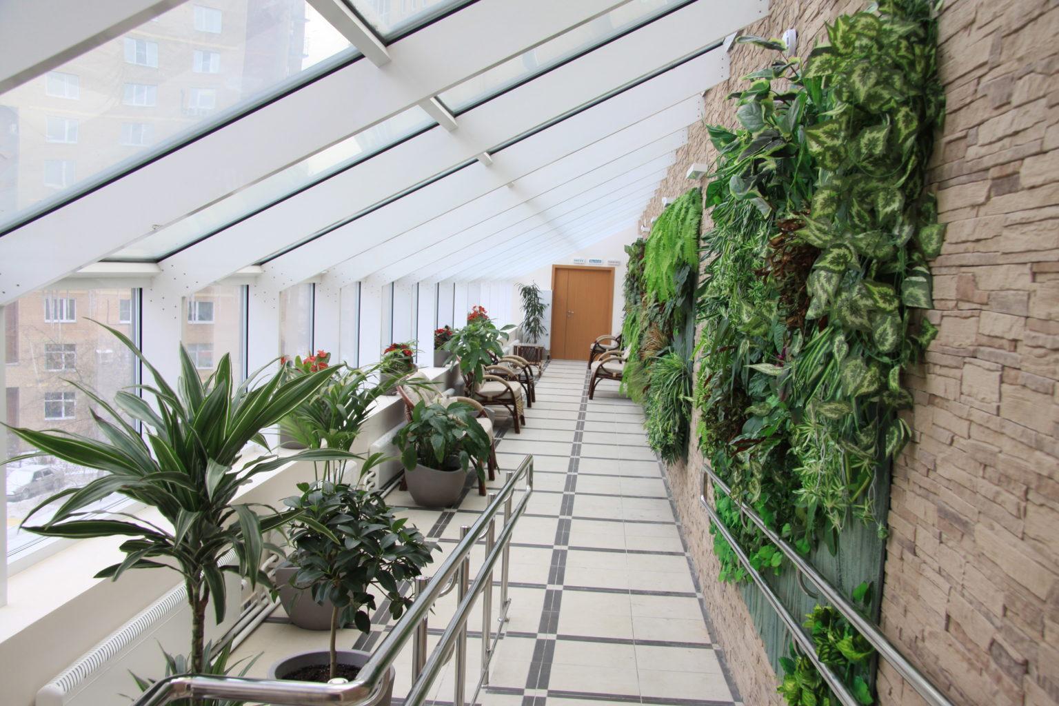 Озеленение офиса ботаниками магазина Мандарин