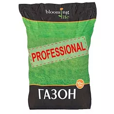 Овсяница красная Реверент 10 кг.