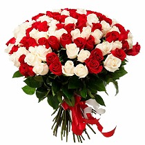 Букет из 75 красных и белых Роз
