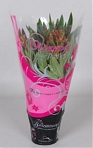 Олеандр Нериум розовая - Nerium Oleander D12 H40