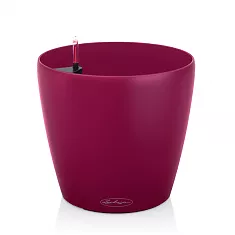 Lechuza CLASSICO Color 21