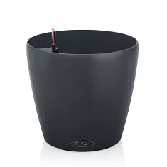 Lechuza CLASSICO Color 28