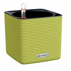 Lechuza CUBE Color 14