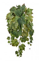 Виноградный куст ампельный