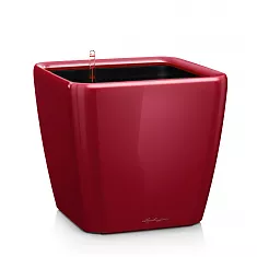 Lechuza QUADRO LS 35