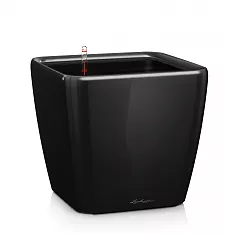Lechuza QUADRO LS 50