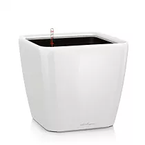 Lechuza QUADRO LS 21