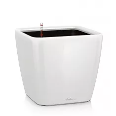 Lechuza QUADRO LS 21