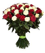 Букет из 39 красно-белой розы