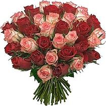 Букет из 39 красно-чайной розы