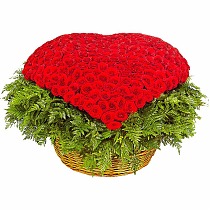 Букет из 501 красной Розы в виде сердца