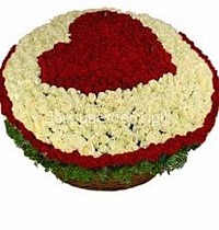 Букет из 501 белой и красной Розы в виде сердца