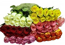 Роза Микс 40см Кения. 10 штук