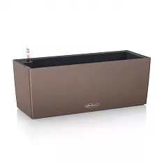 Lechuza Balconera Color 50