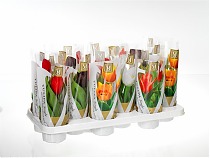 Тюльпан Микс - Tulipa D10 H25
