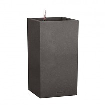 Canto Color Complete 30