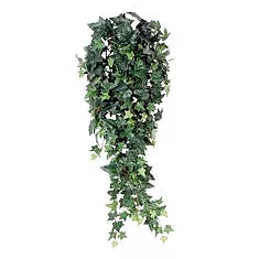 Хедера микс - Hedera mix D30 H90