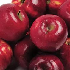 Яблоня домашняя Рубин - Malus domestica Rubin 3-5 ltr, 100-180 см