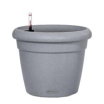 Lechuza Rustico Color Complete 21