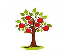 Плодово-ягодные деревья