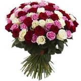 Букет из 75 красных, белых и розовых Роз 