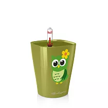 Lechuza MINI-DELTINI с совой