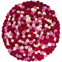 Букет из 501 белой, красной, розовой Розы