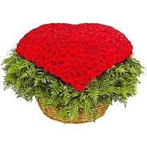 Букет из 501 белой и красной Розы в виде сердца