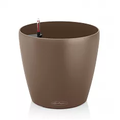Lechuza CLASSICO Color 43