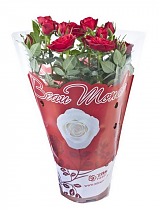 Роза красная- Rosa Hot Jewel D10 H25