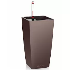 Lechuza MAXI-CUBI