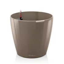 Lechuza CLASSICO 50