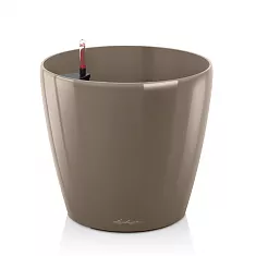 Lechuza CLASSICO 50