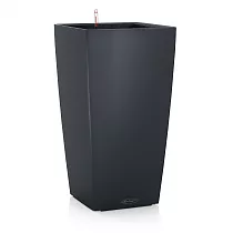 Lechuza CUBICO Color 30