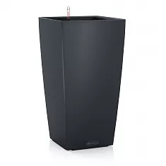 Lechuza CUBICO Color 30