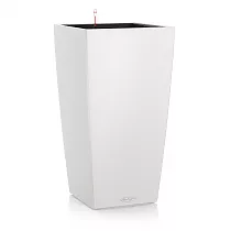 Lechuza CUBICO Color 22