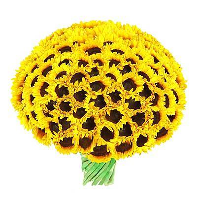 Букет из 75 Подсолнухов