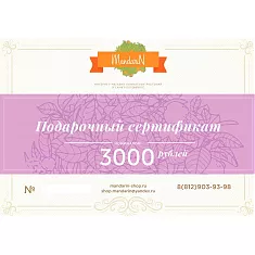 Подарочный Сертификат на сумму 3000 рублей