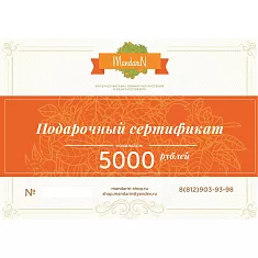 Подарочный Сертификат на сумму 5000 рублей