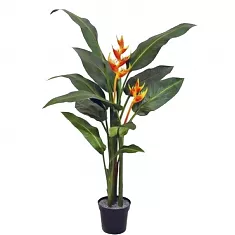 Геликония Олимпик Флейм красная - Heliconia Olympic Flame D19 H120